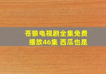 苍狼电视剧全集免费播放46集 西瓜也是